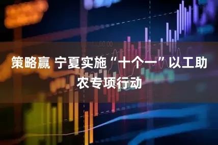 策略赢 宁夏实施“十个一”以工助农专项行动