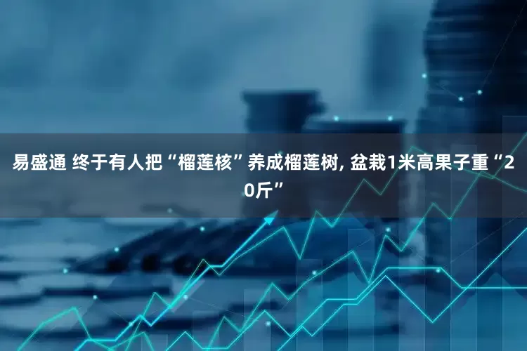 易盛通 终于有人把“榴莲核”养成榴莲树, 盆栽1米高果子重“20斤”