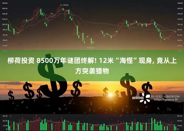 柳荷投资 8500万年谜团终解! 12米“海怪”现身, 竟从上方突袭猎物