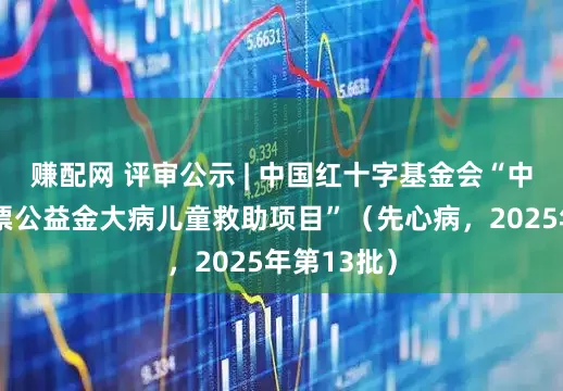 赚配网 评审公示 | 中国红十字基金会“中央专项彩票公益金大病儿童救助项目”（先心病，2025年第13批）