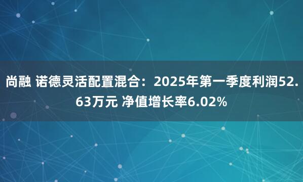 尚融 诺德灵活配置混合：2025年第一季度利润52.63万元 净值增长率6.02%