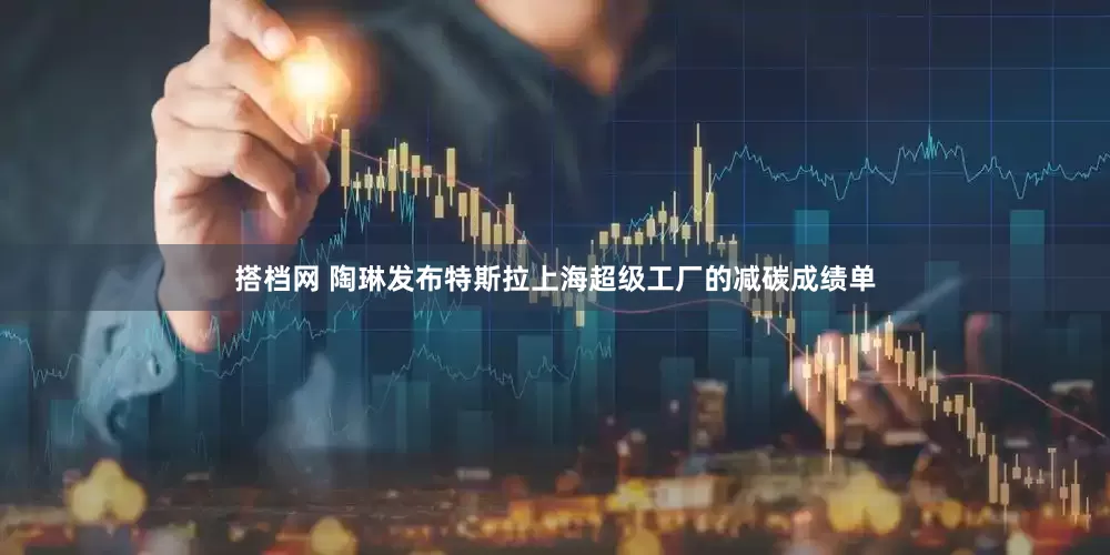 搭档网 陶琳发布特斯拉上海超级工厂的减碳成绩单
