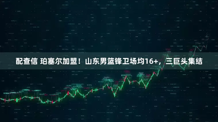 配查信 珀塞尔加盟！山东男篮锋卫场均16+，三巨头集结