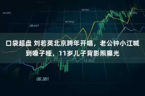 口袋超盘 刘若英北京跨年开唱，老公钟小江喊到嗓子哑，11岁儿子背影照曝光